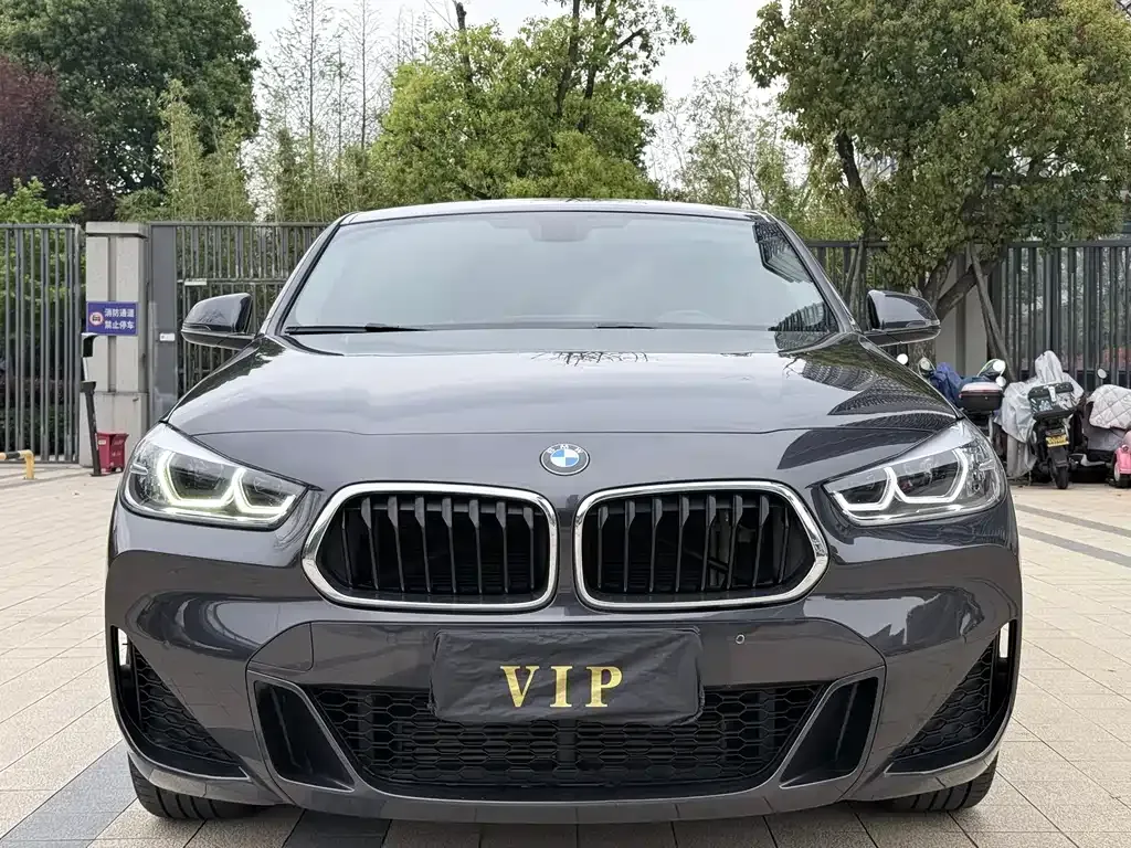 BMW X2 2022 из CN, фото 9