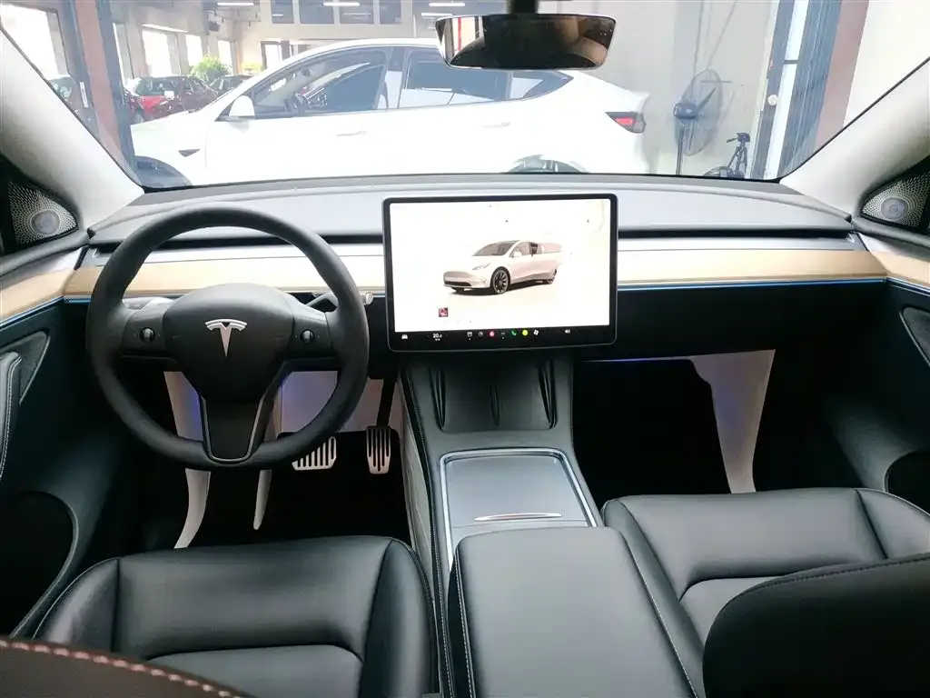 Tesla Model Y — фото 10