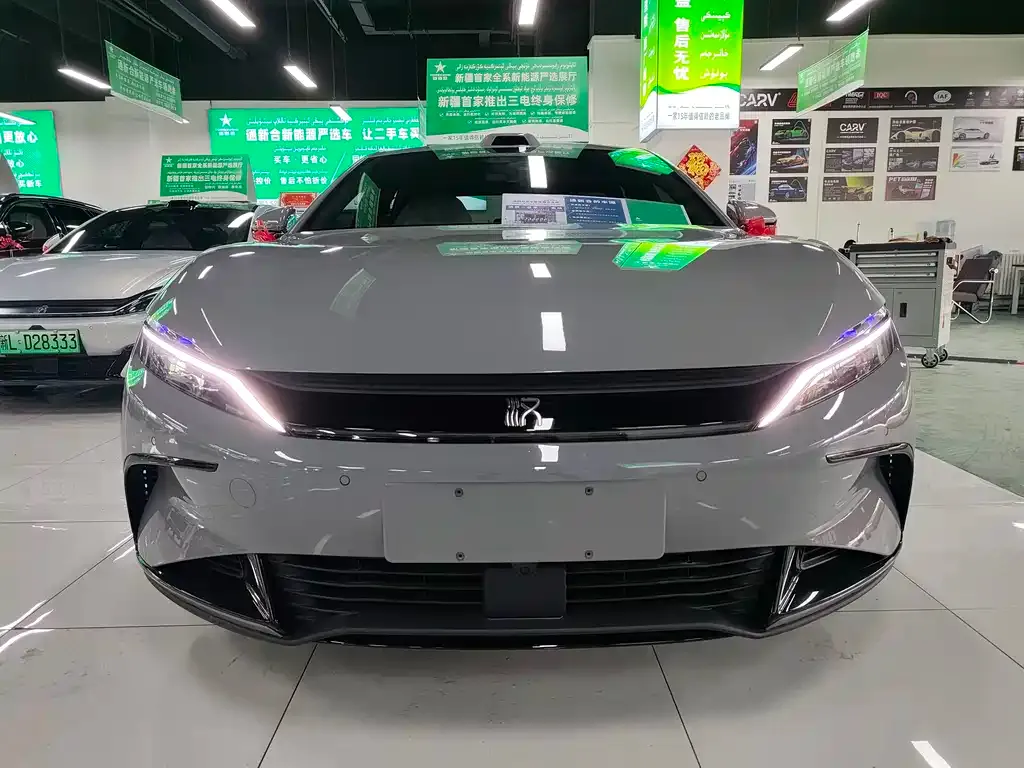 BYD Han — фото 10
