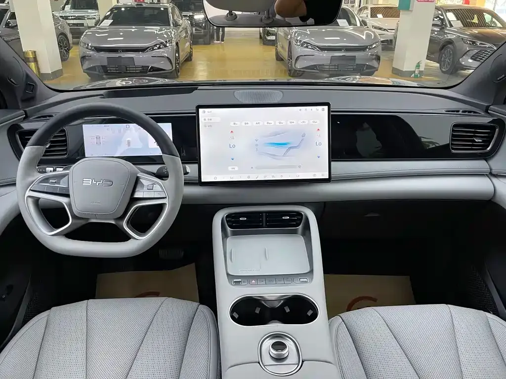 BYD Hiace 06 — фото 10