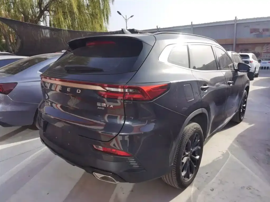 Exeed Exeed TX 2022 из CN, фото 10