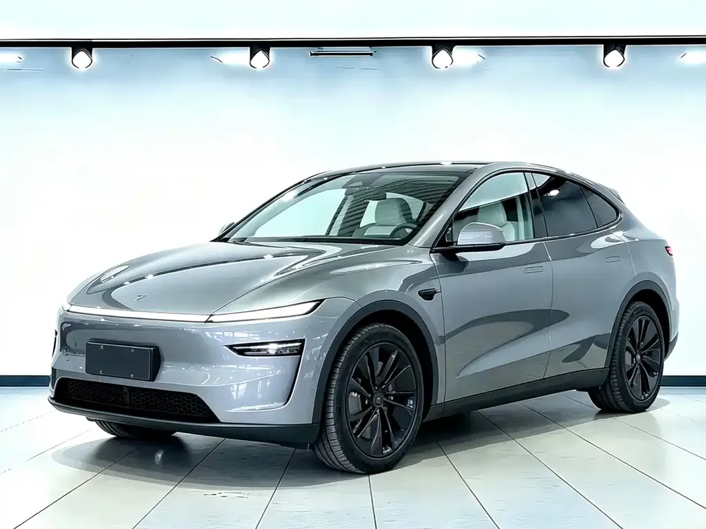 Tesla Model Y 2025 из CN, фото 1