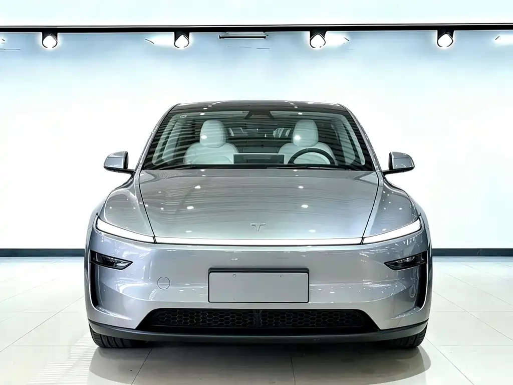 Tesla Model Y 2025 из CN, фото 8