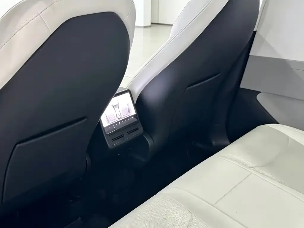 Tesla Model Y 2025 из CN, фото 2