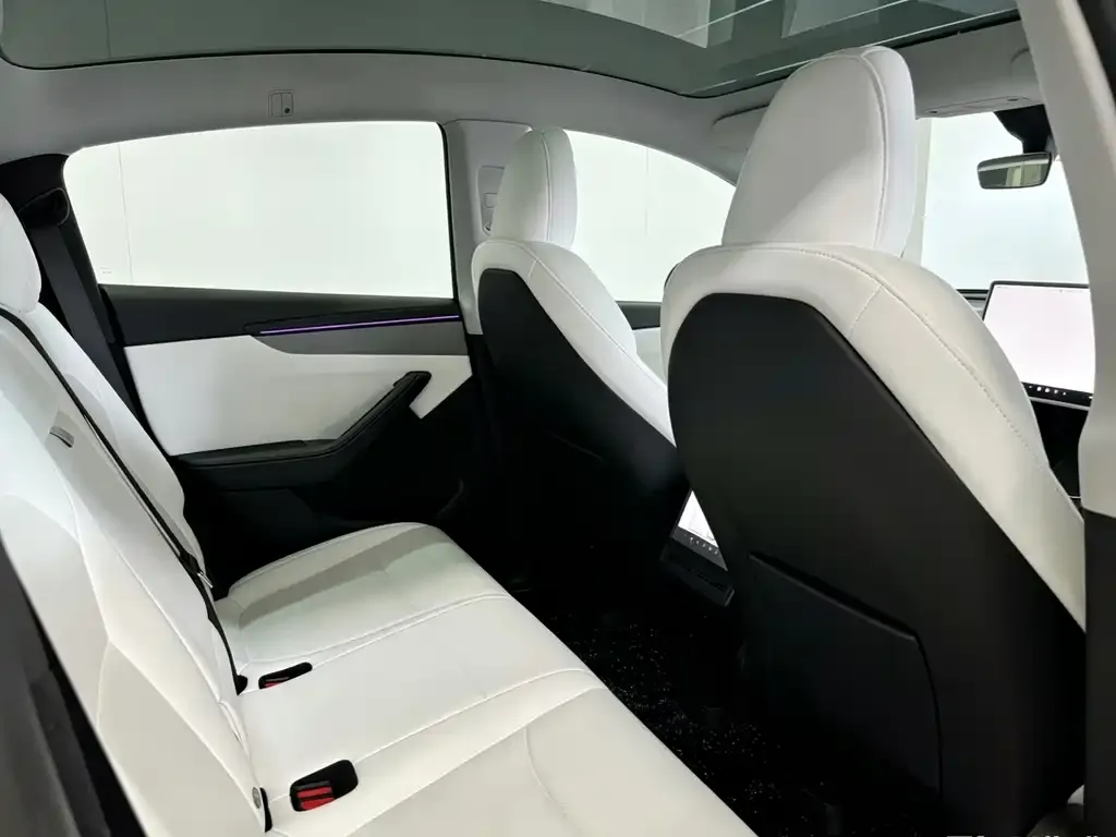 Tesla Model Y 2025 из CN, фото 7