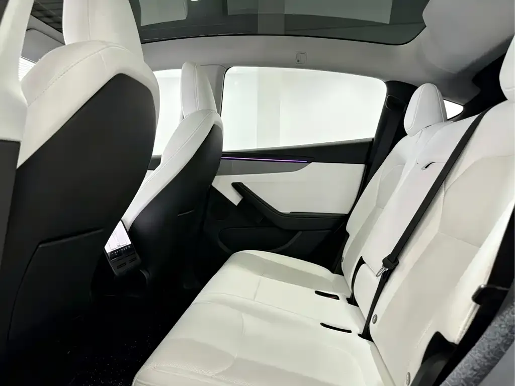 Tesla Model Y 2025 из CN, фото 3
