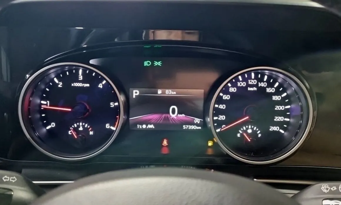 Kia Carnival — фото 10