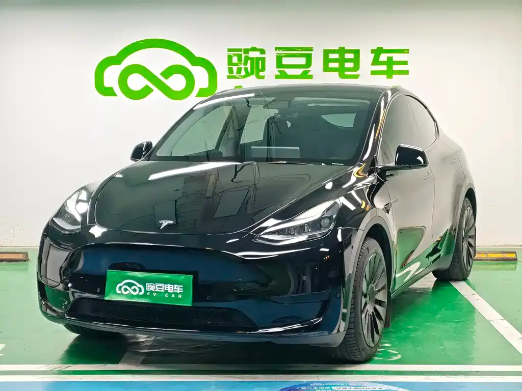 Tesla Model Y — фото 1