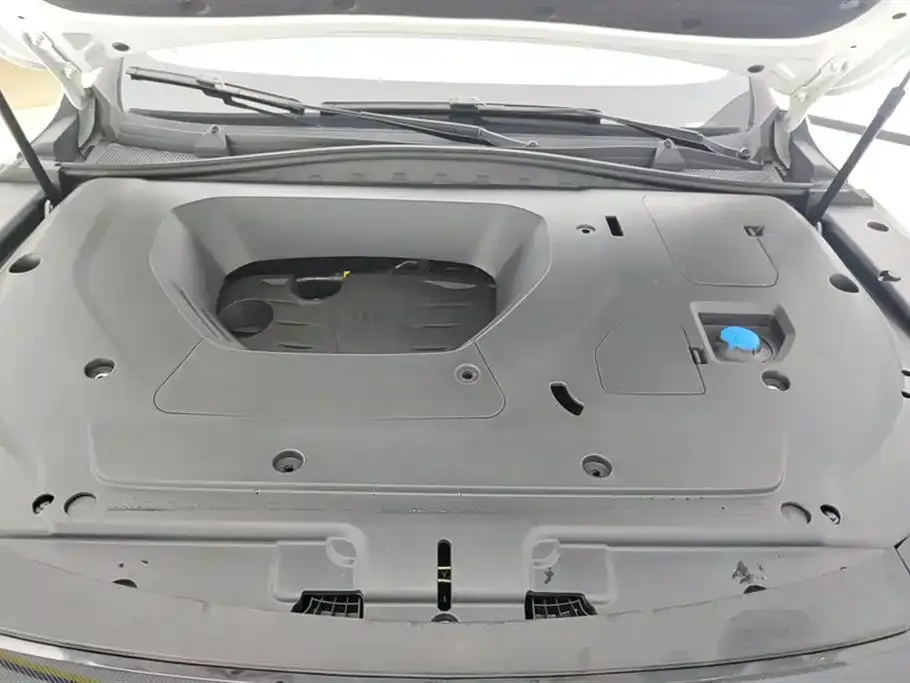 Roewe RX5 MAX 2023 из CN, фото 5