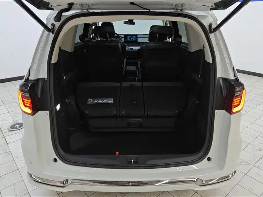 Honda Elysion — фото 2