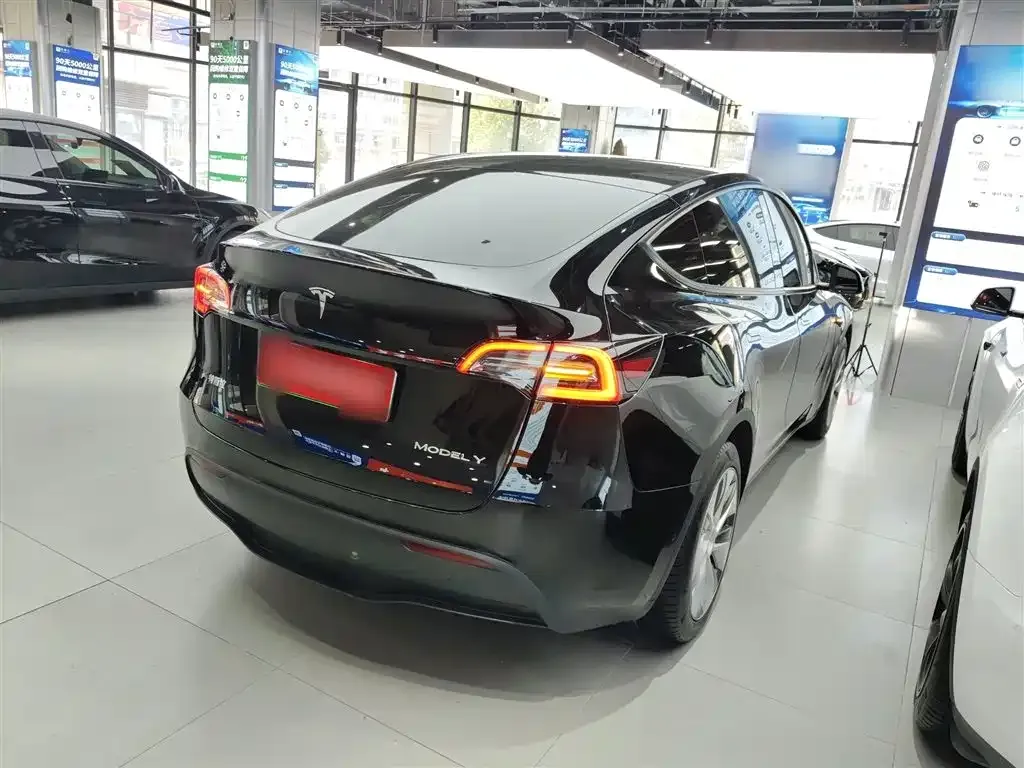 Tesla Model Y — фото 9
