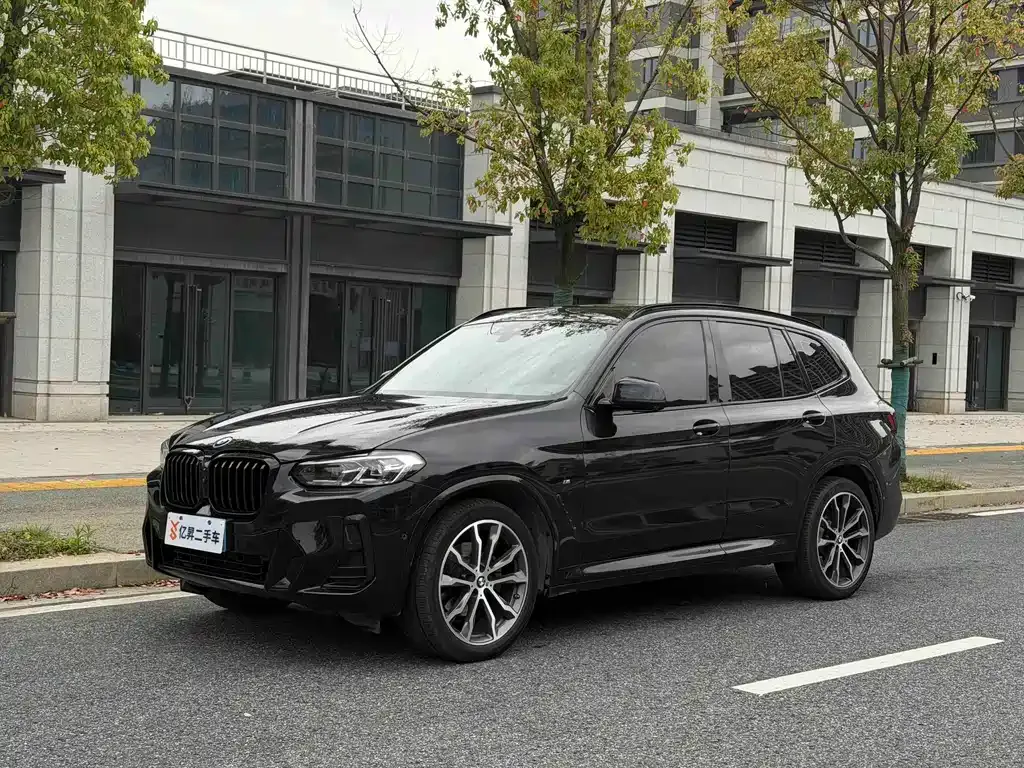 BMW X3 — фото 1