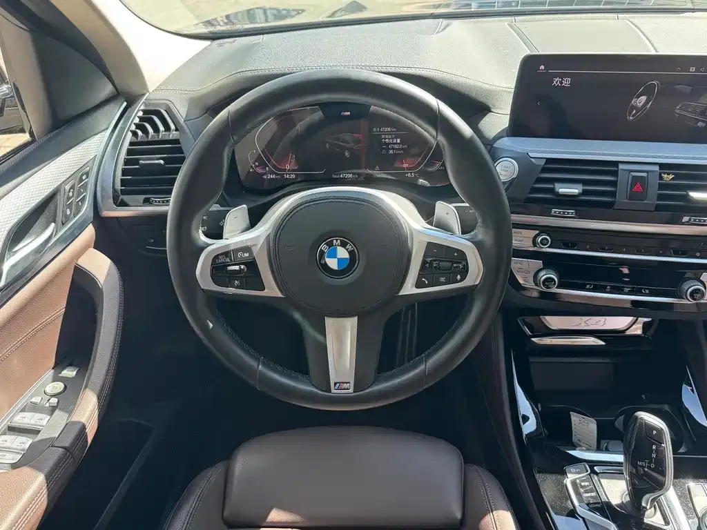 BMW X4 2021 из CN, фото 7