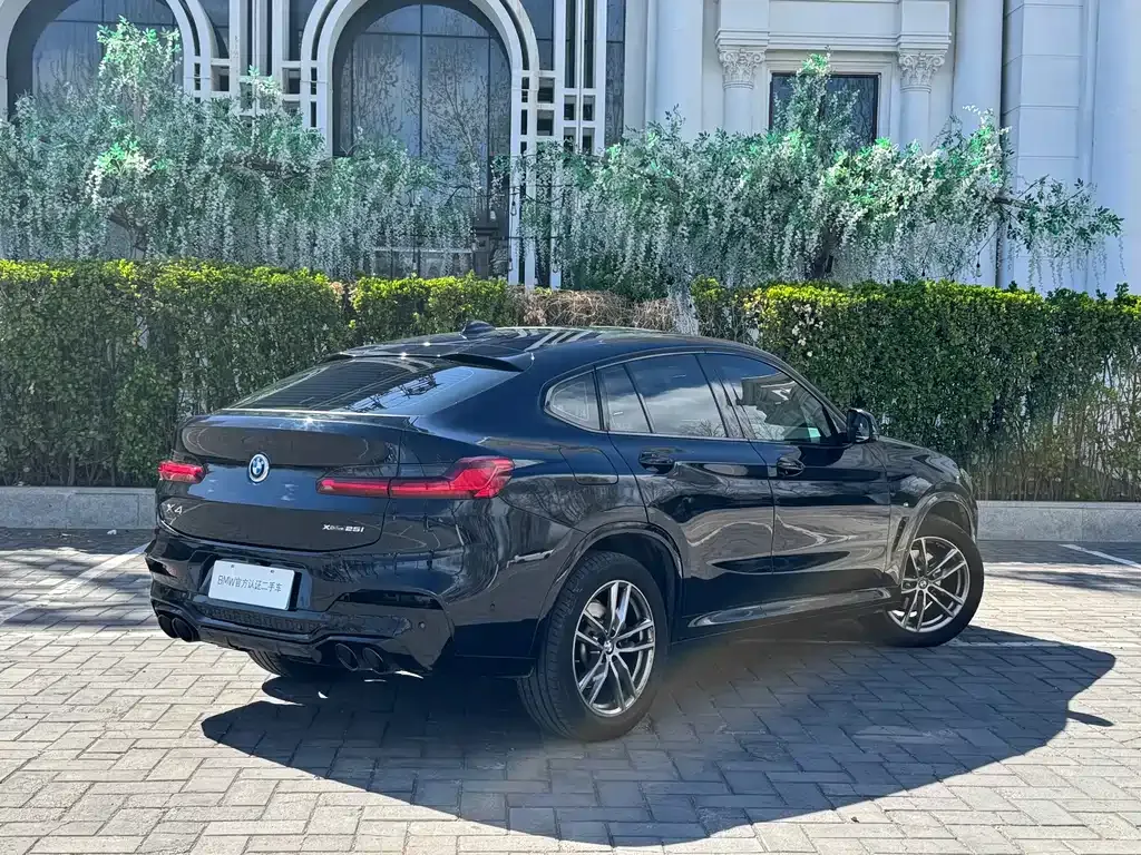 BMW X4 2021 из CN, фото 10