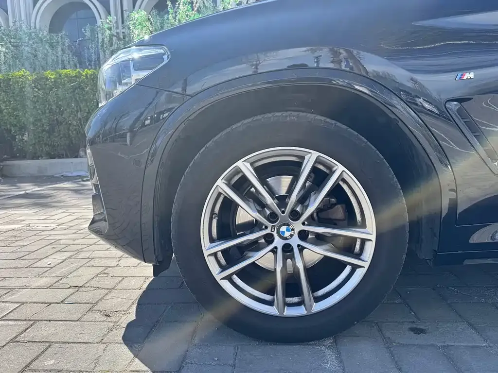 BMW X4 2021 из CN, фото 5