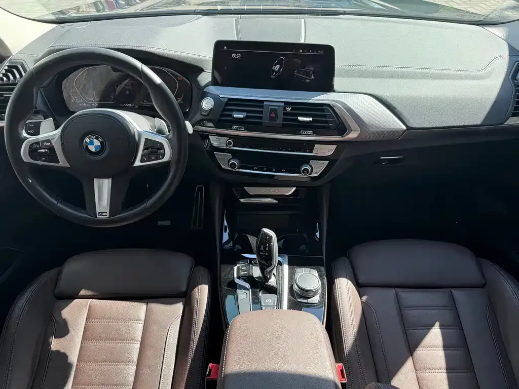 BMW X4 2021 из CN, фото 6