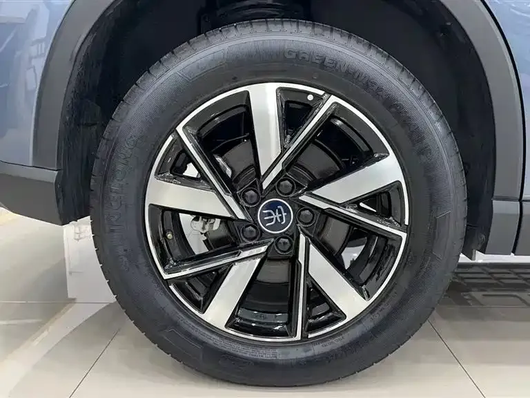 BYD Pro New Energy — фото 2