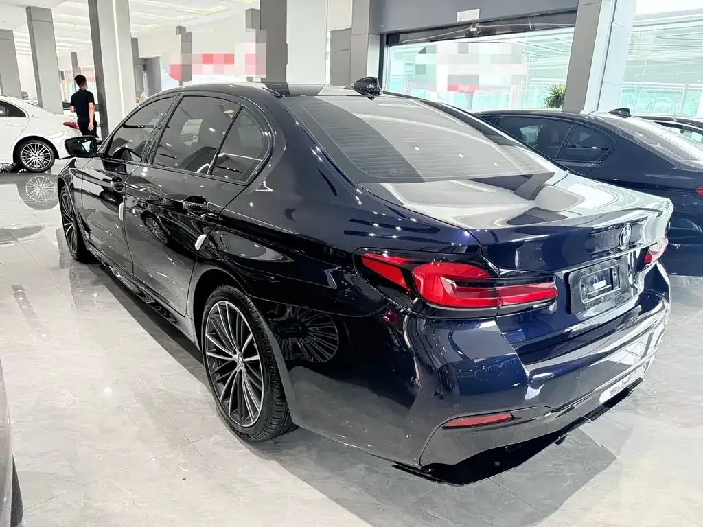 BMW 5 Series 2021 из CN, фото 7