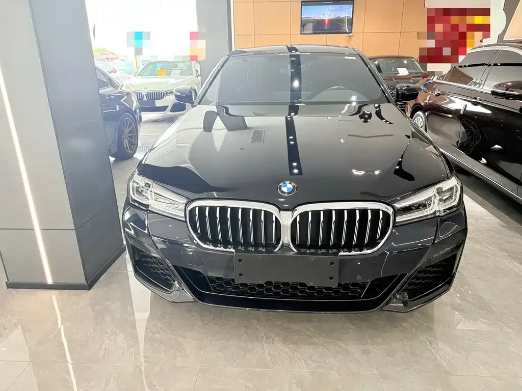 BMW 5 Series 2021 из CN, фото 9