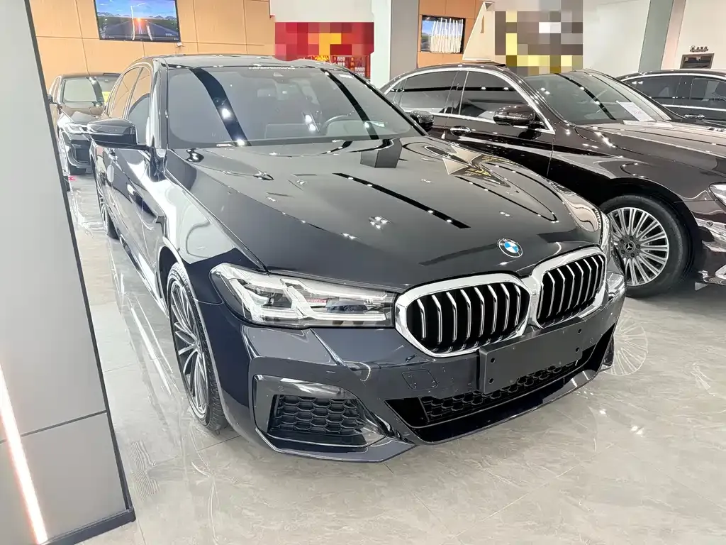 BMW 5 Series 2021 из CN, фото 8