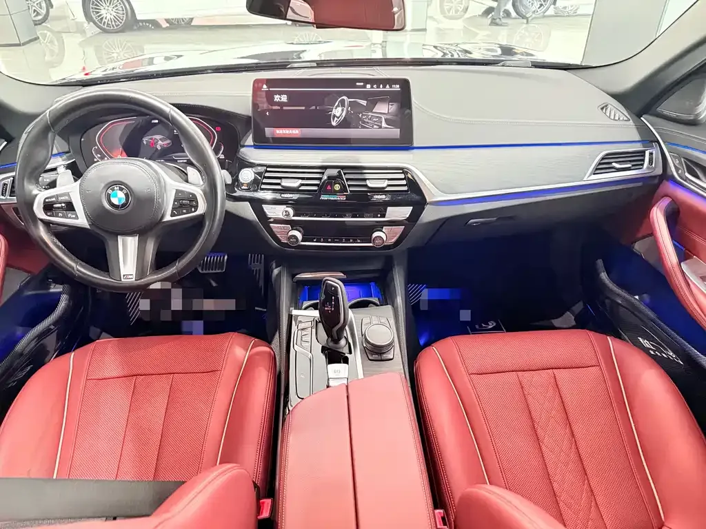BMW 5 Series 2021 из CN, фото 4