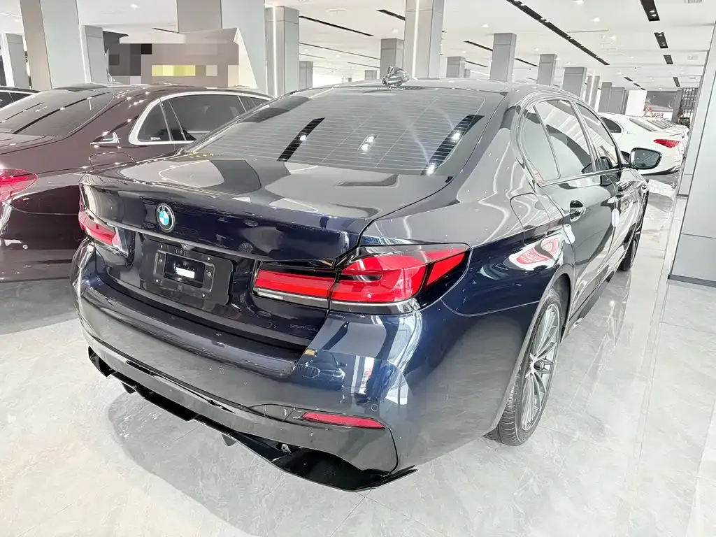 BMW 5 Series 2021 из CN, фото 6