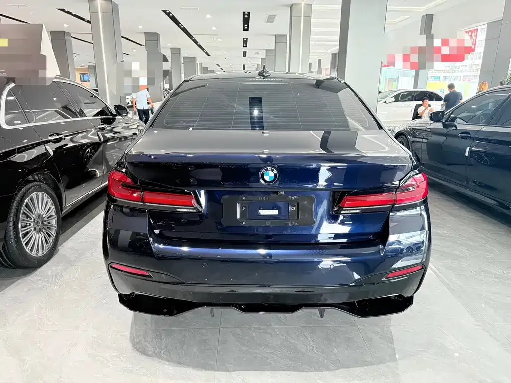 BMW 5 Series 2021 из CN, фото 5