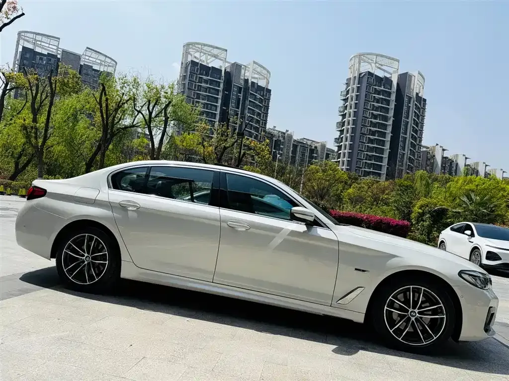 BMW 5 Series New Energy 2021 из CN, фото 9
