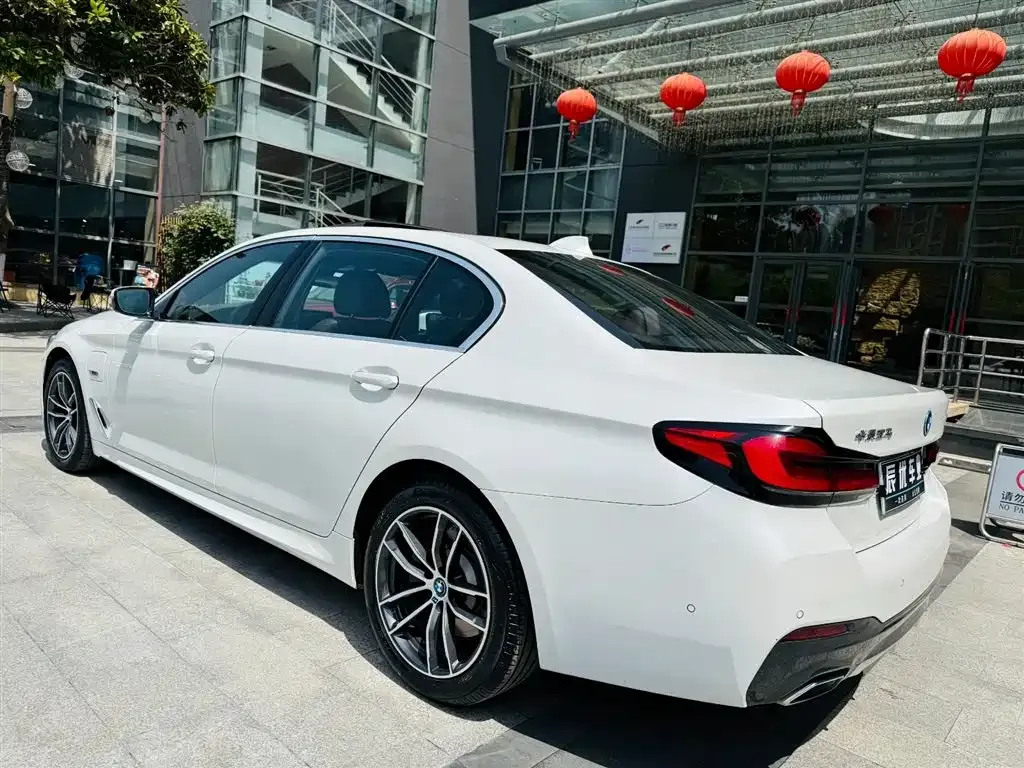 BMW 5 Series New Energy 2021 из CN, фото 10