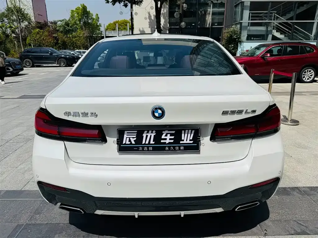 BMW 5 Series New Energy 2021 из CN, фото 6