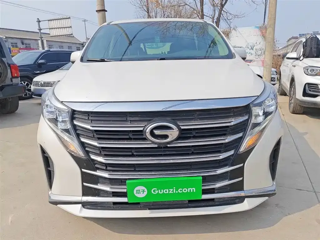GAC Motor Trumpchi M8 2024 из CN, фото 8