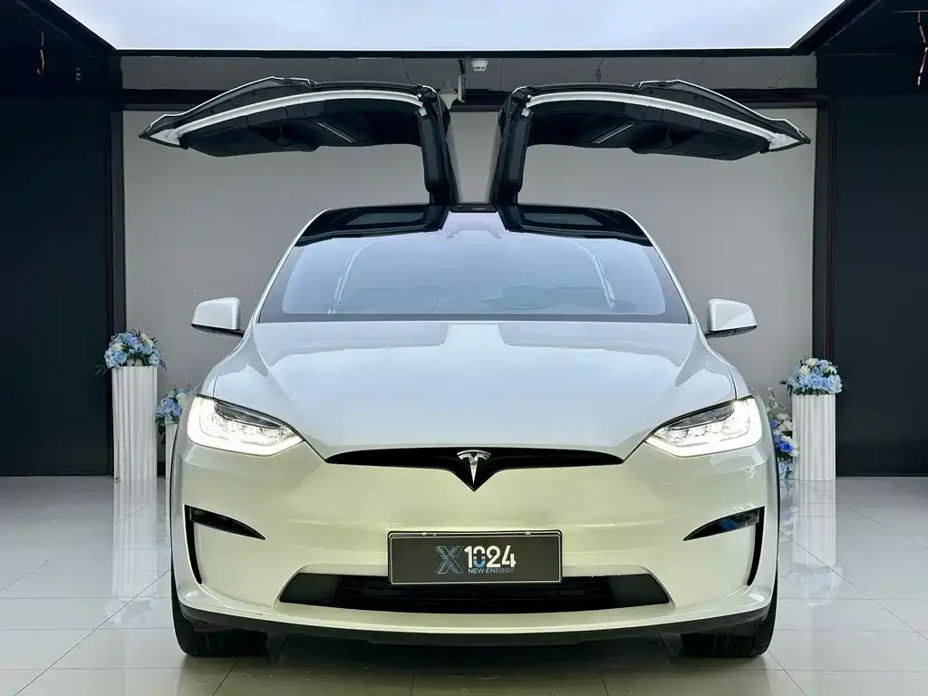 Tesla Model X 2023 из CN, фото 2