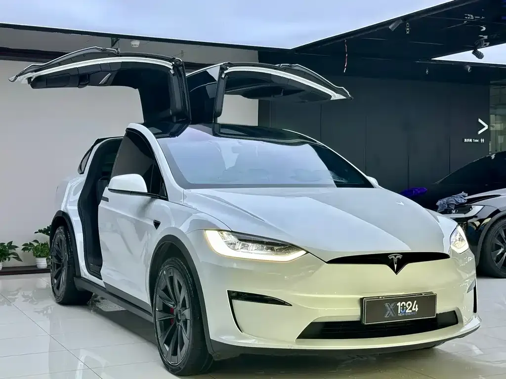 Tesla Model X 2023 из CN, фото 8