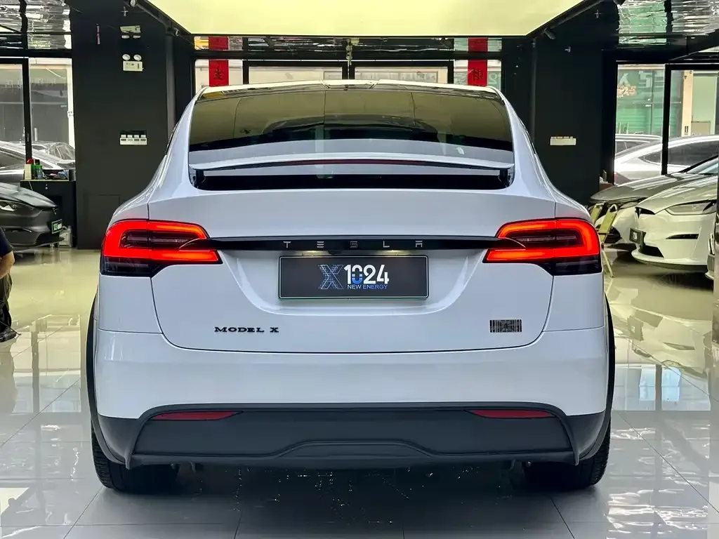 Tesla Model X 2023 из CN, фото 5