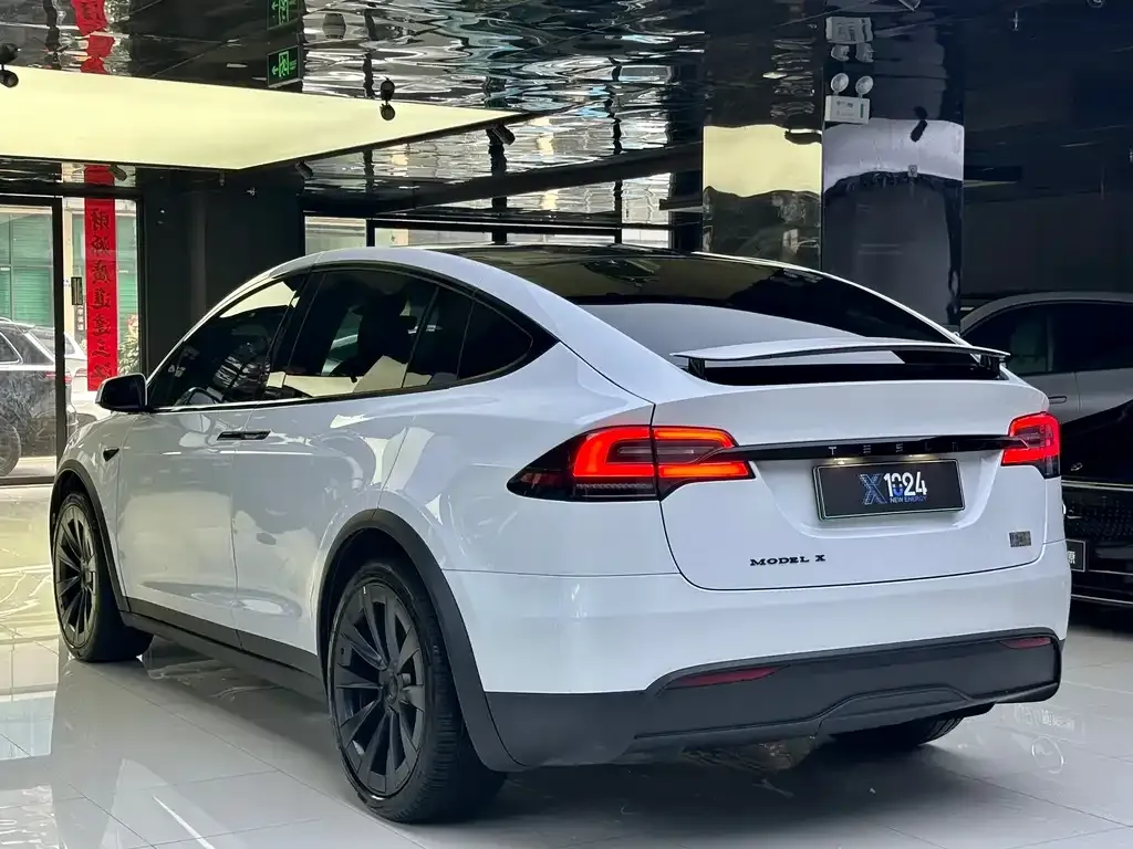 Tesla Model X 2023 из CN, фото 6