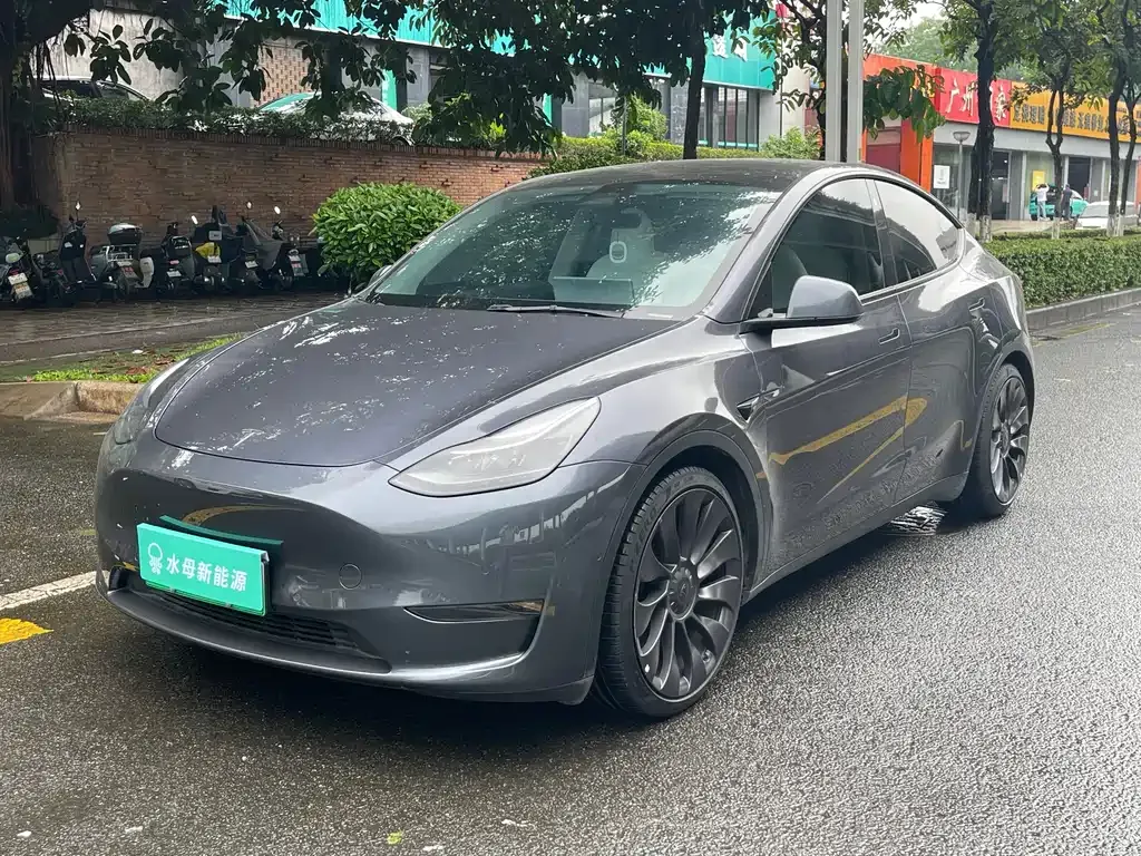 Tesla Model Y — фото 1