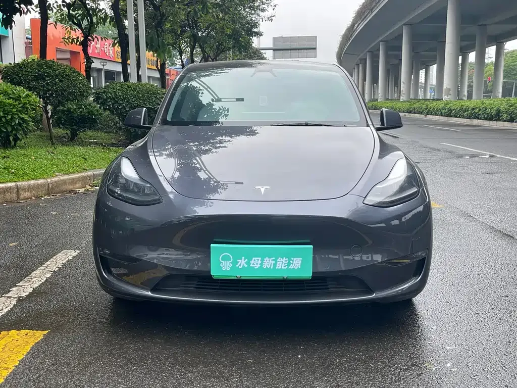 Tesla Model Y — фото 6