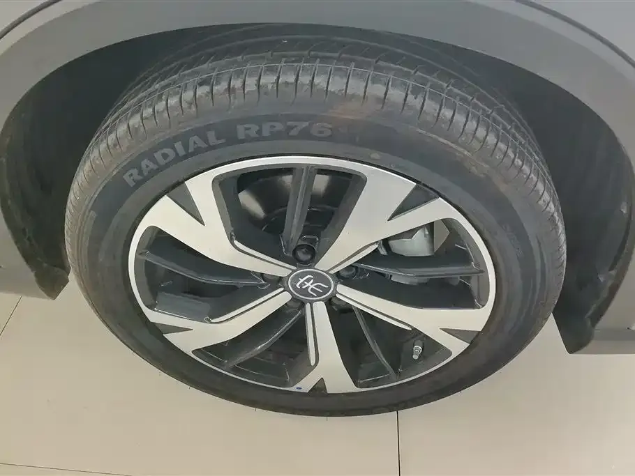 BYD Pro New Energy — фото 2
