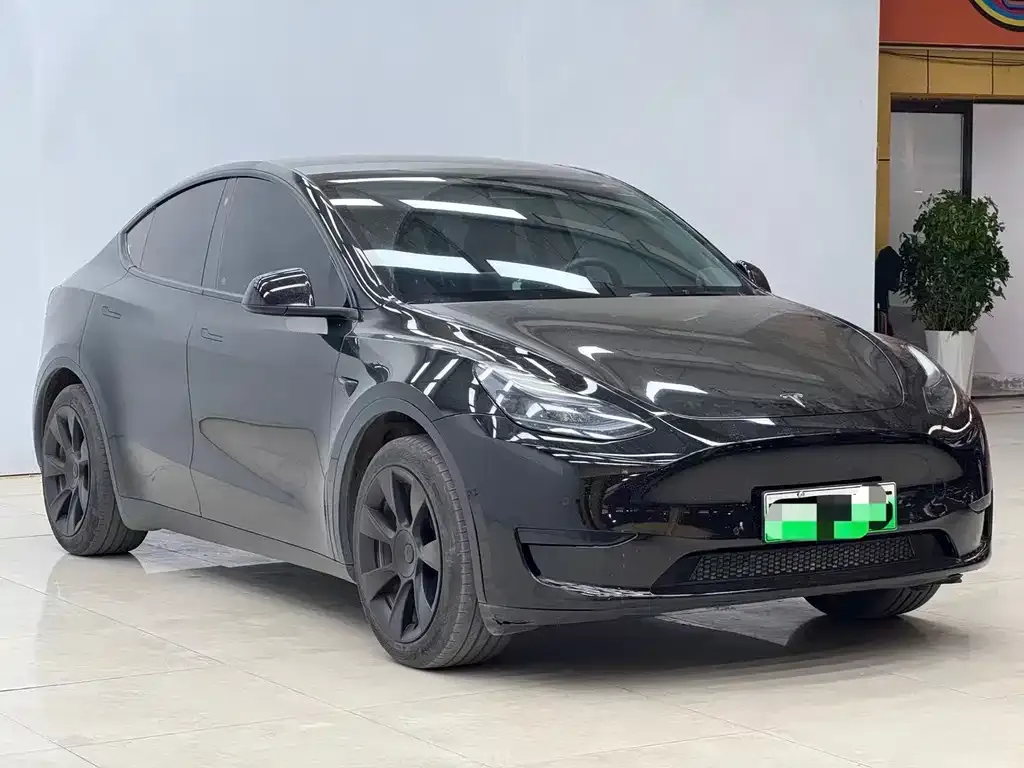 Tesla Model Y — фото 6