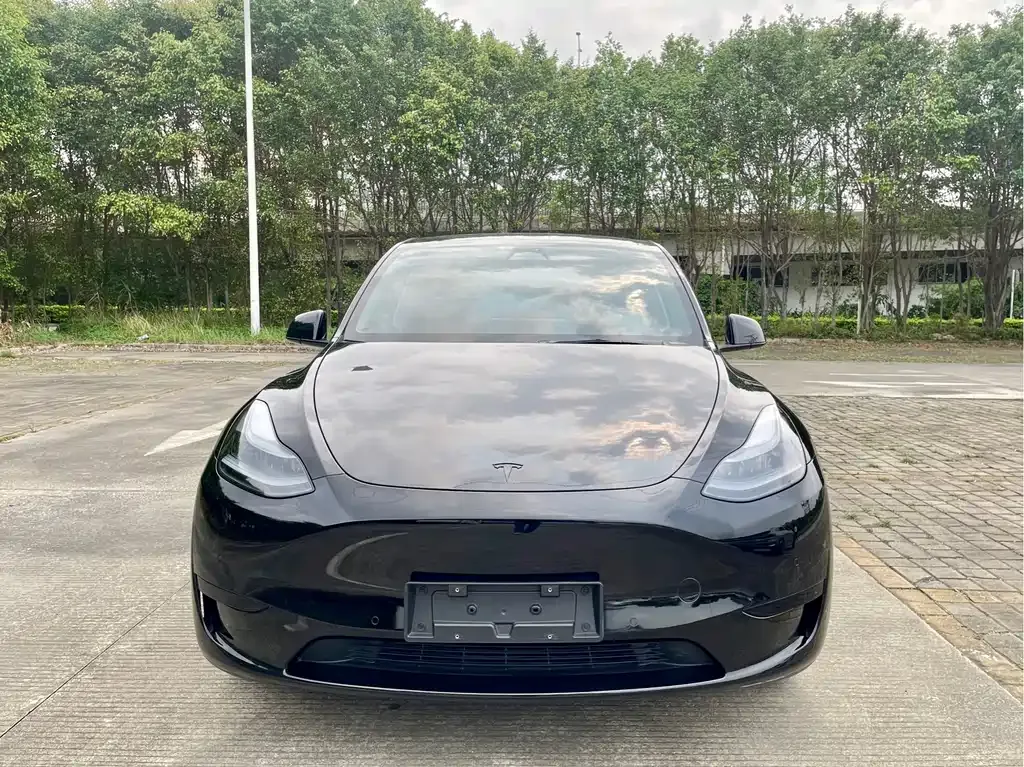 Tesla Model Y — фото 9