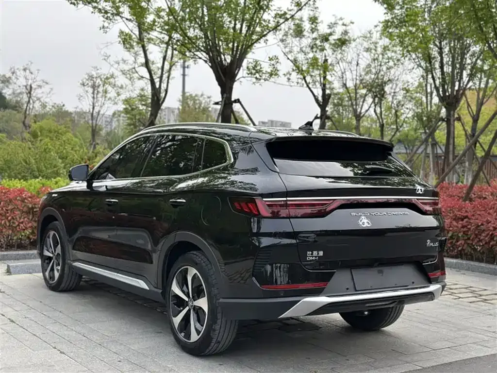 BYD PLUS New Energy 2023 из CN, фото 10