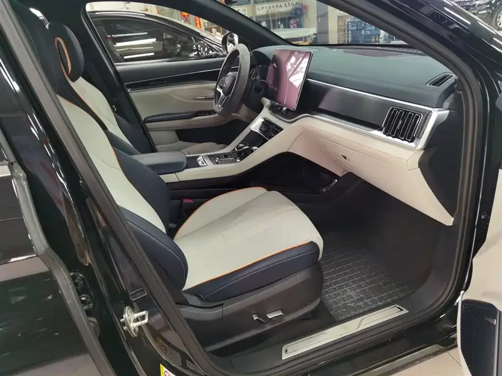 BYD PLUS New Energy 2023 из CN, фото 3