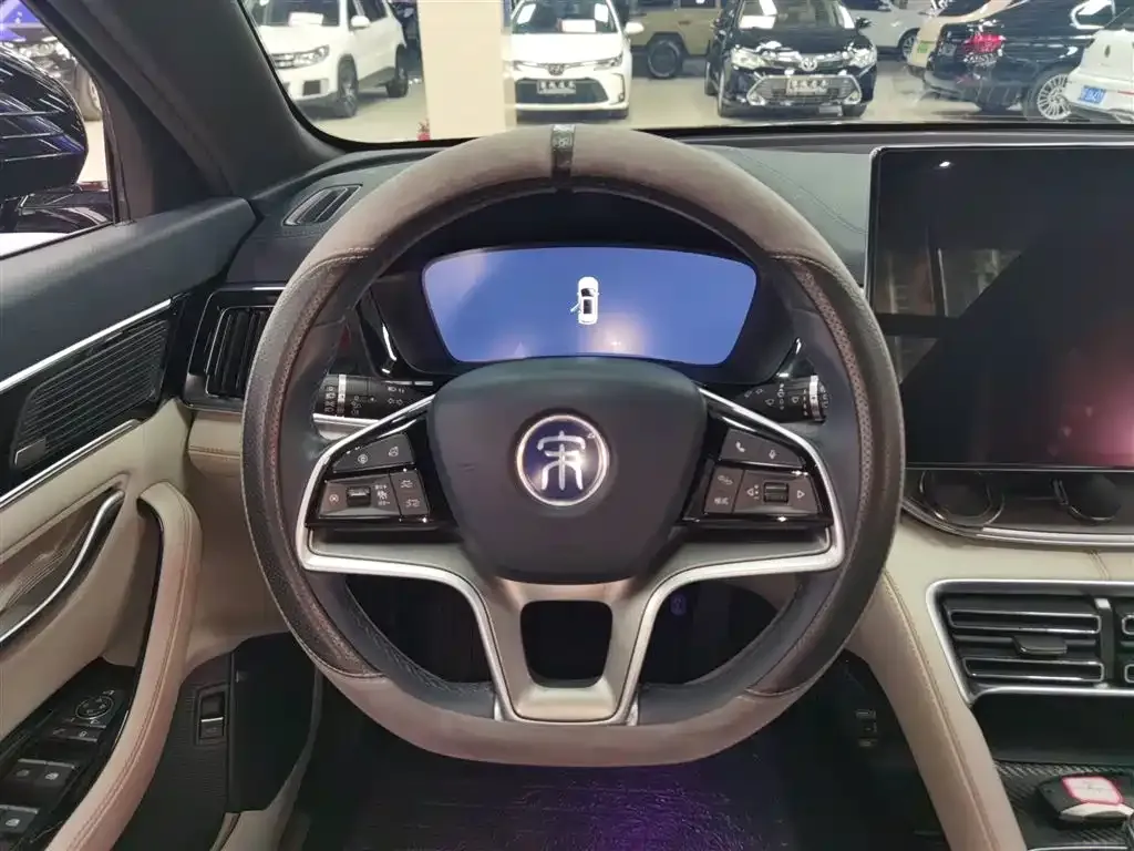 BYD PLUS New Energy 2023 из CN, фото 7