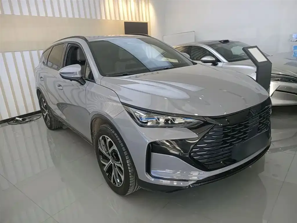 BYD Tang New Energy — фото 5