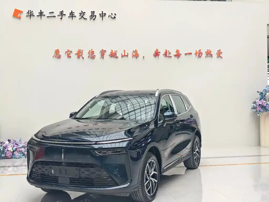 Wey Latte DHT-PHEV 2025 из CN, фото 7