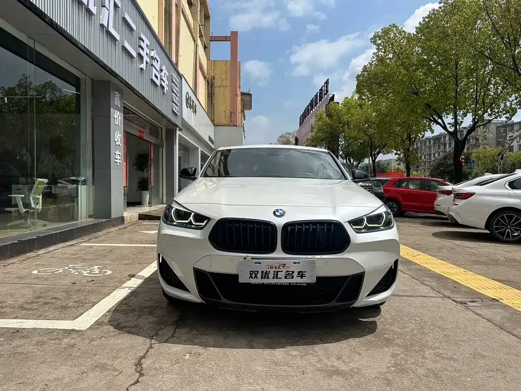 BMW X2 2021 из CN, фото 7