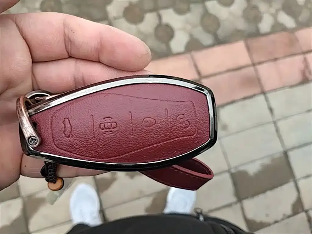 Hongqi H5 2024 из CN, фото 3