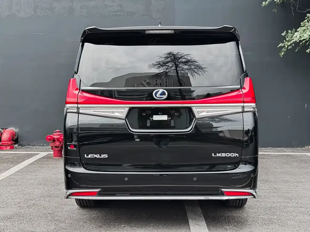 Lexus LM 2021 из CN, фото 3