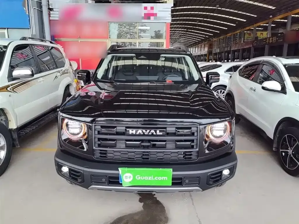 Haval Big Dog — фото 9
