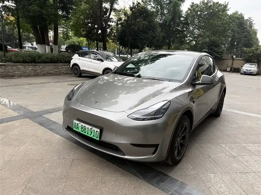 Tesla Model Y — фото 1